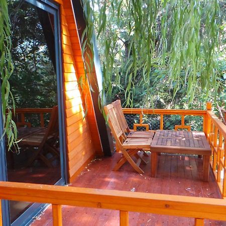 Trinitys Forest Bungalows Kemer Exterior photo