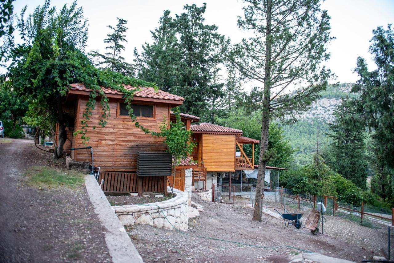Trinitys Forest Bungalows Kemer Exterior photo