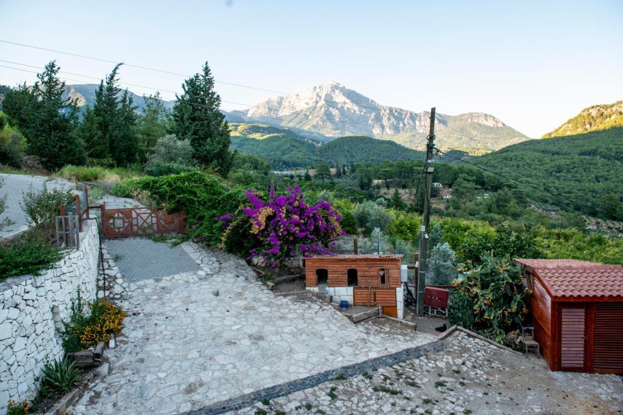 Trinitys Forest Bungalows Kemer Exterior photo