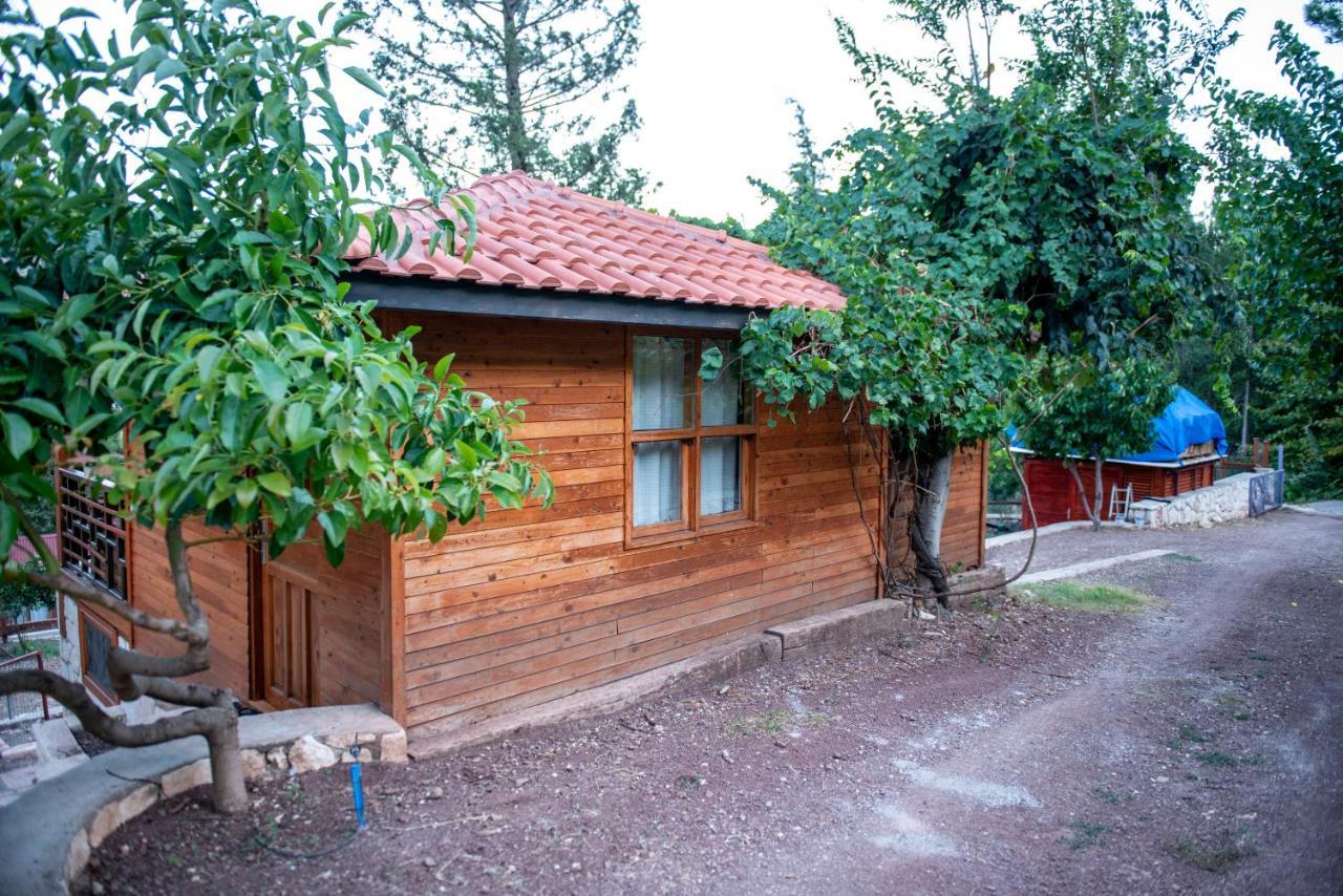 Trinitys Forest Bungalows Kemer Exterior photo