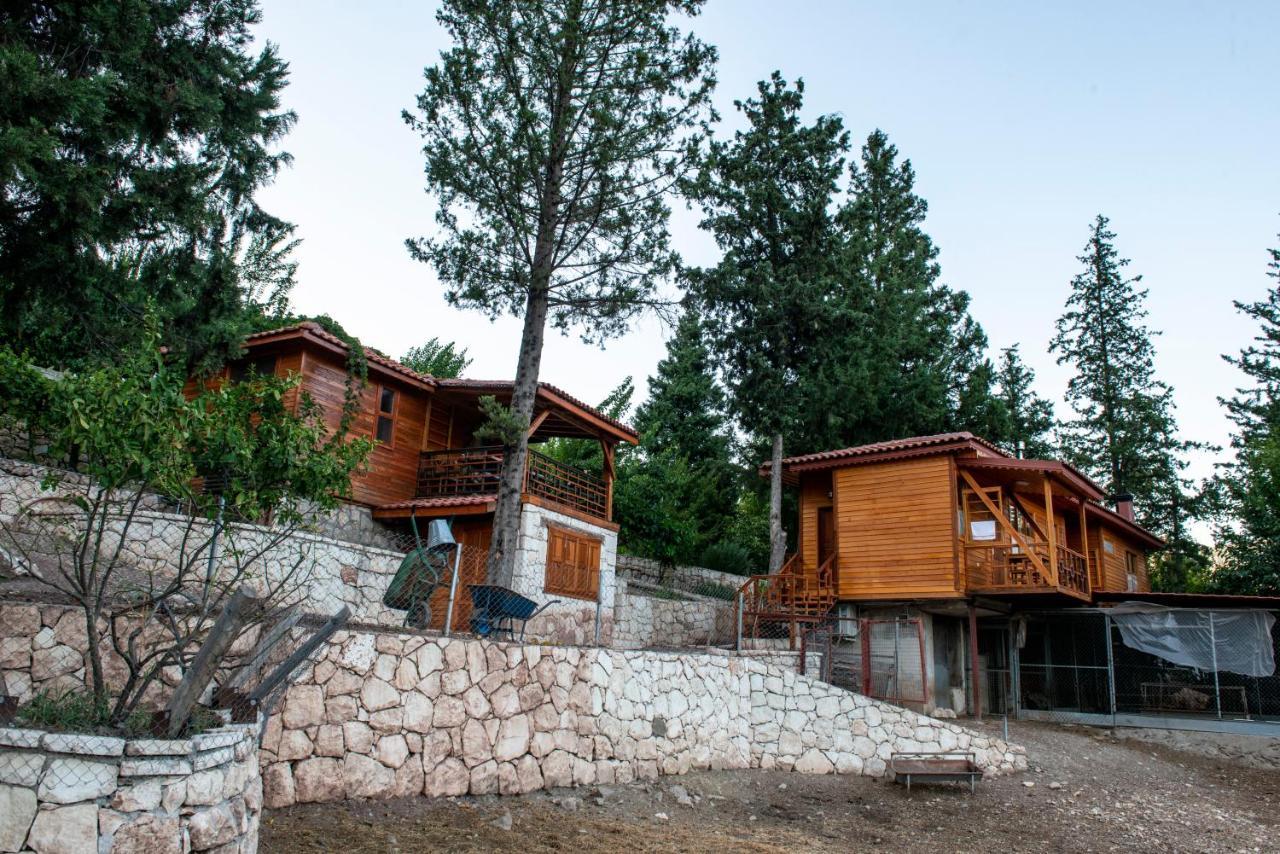 Trinitys Forest Bungalows Kemer Exterior photo