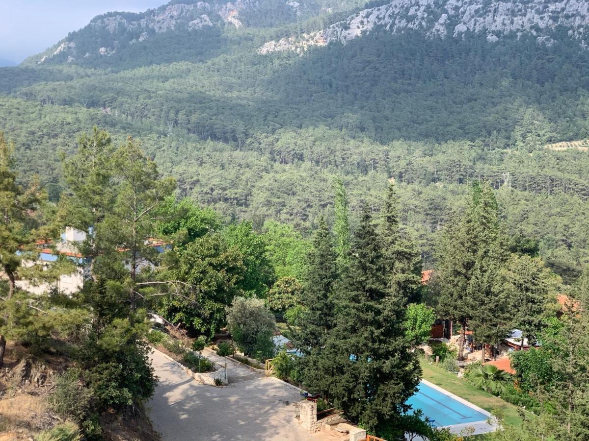 Trinitys Forest Bungalows Kemer Exterior photo