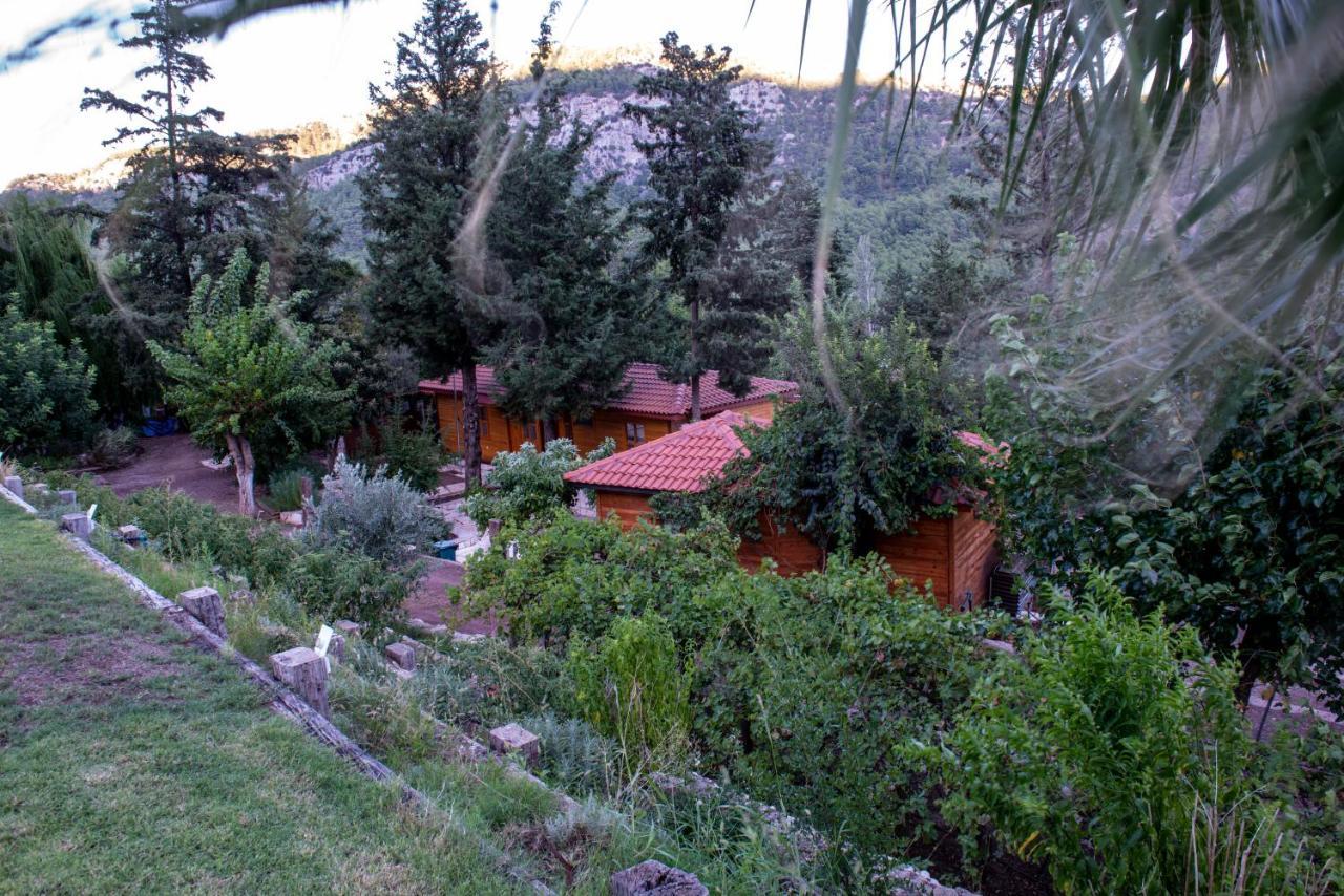 Trinitys Forest Bungalows Kemer Exterior photo
